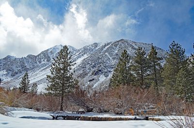 DSC_4618_ps1500b.jpg