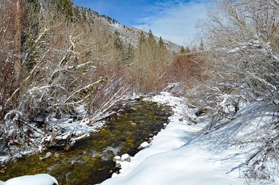 DSC_4630_ps1500a.jpg