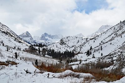 DSC_4662_ps1500a.jpg