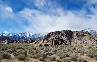 DSC_4345_ps1500a.jpg