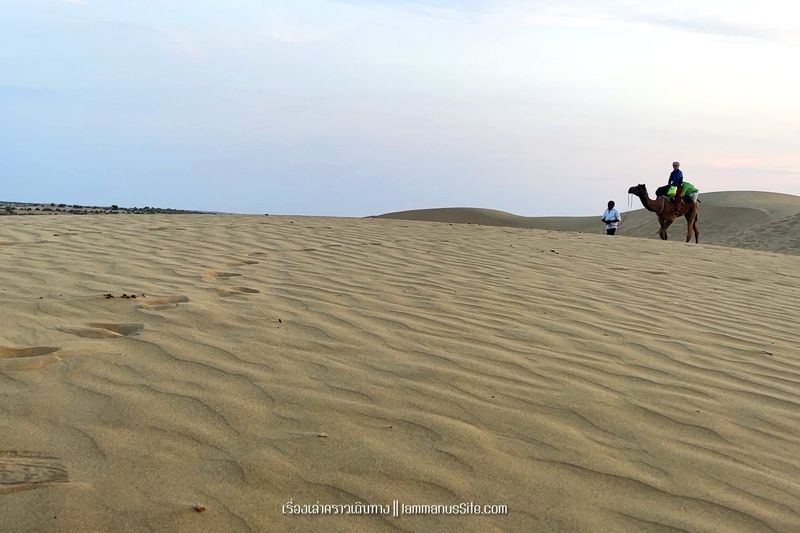Thar Desert