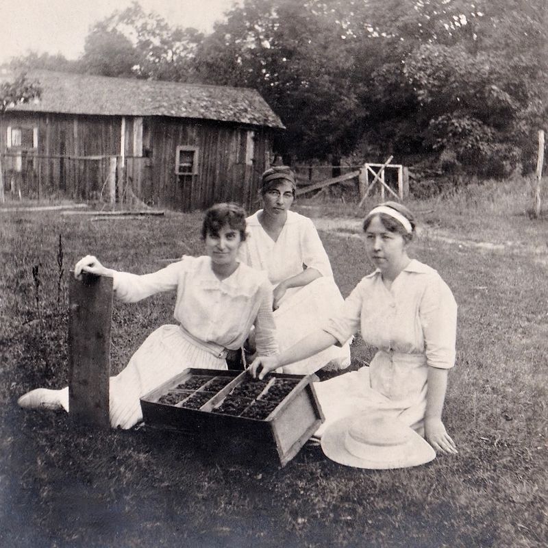 57) Gunborg - berry picking