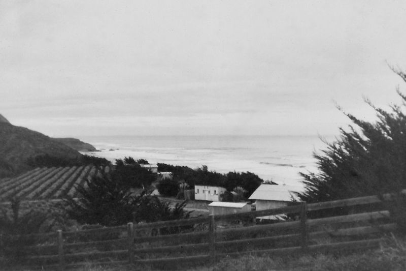 188) Vinyards?