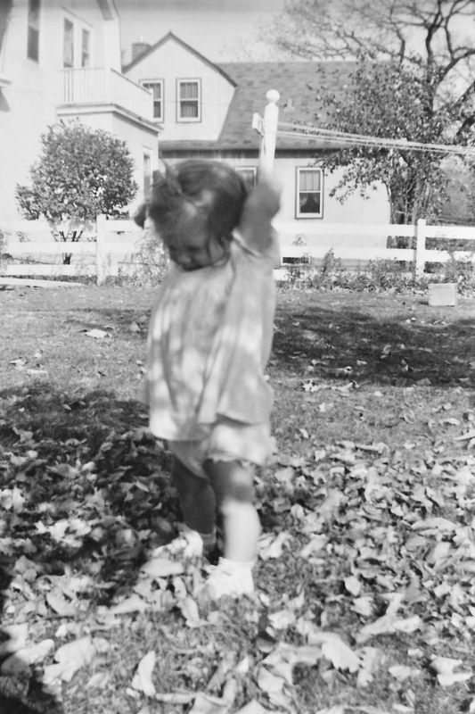 229) learning to throw leaves