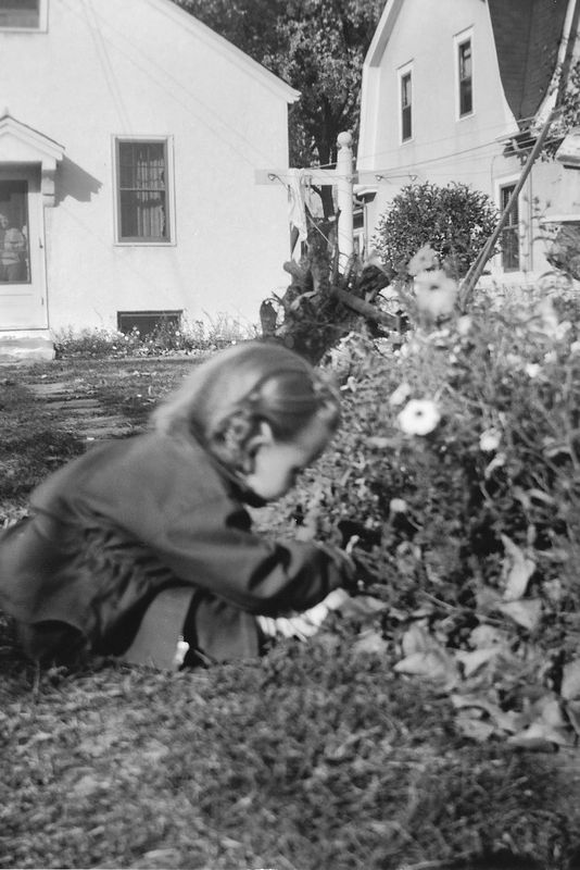 247) Susie smelling the flowere in the backyard.