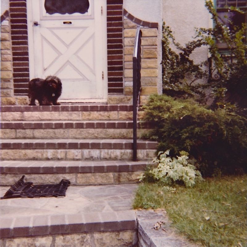364) Misty at front door with all of Ray's fancy stonework.