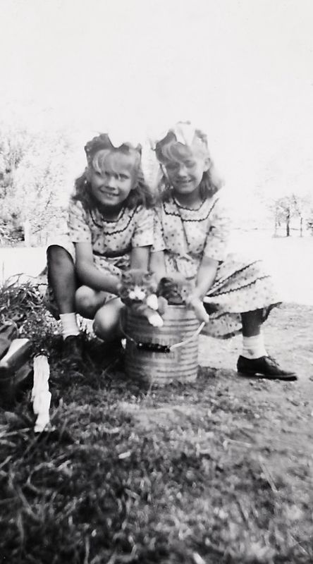 185) Thelma and Emily