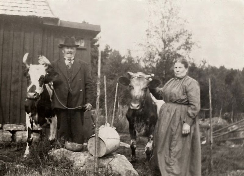 3) Hilmer and Matilda Anderson Haag?
