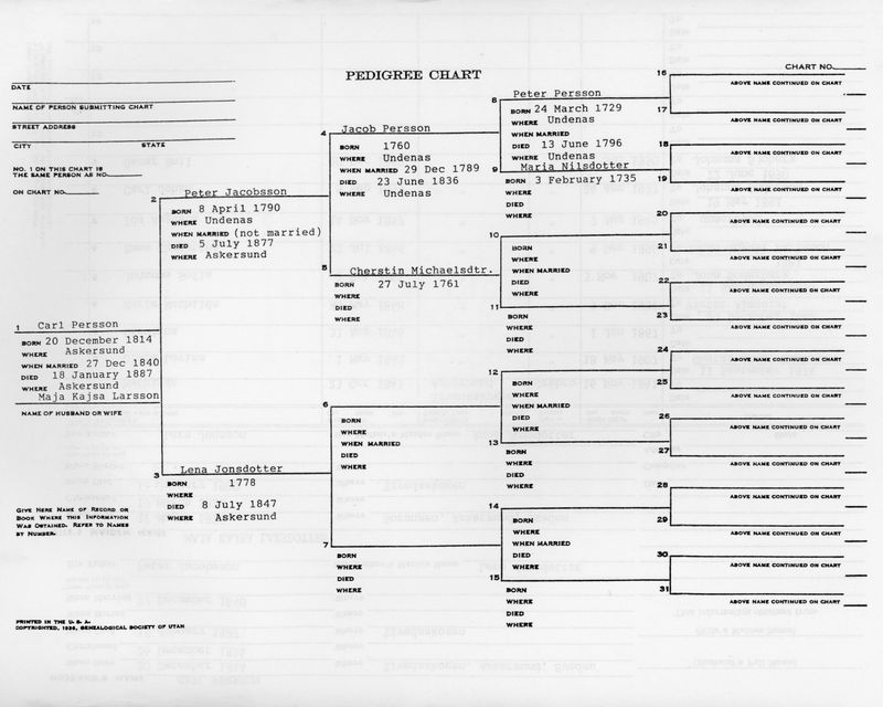 49) Carl Persson Pedigree Chart