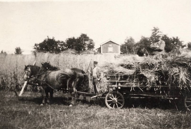 123) Casper's farm in Sweden?