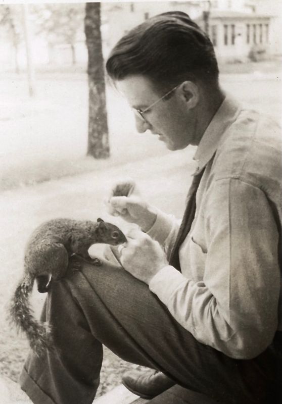 233) Bert and squirrel