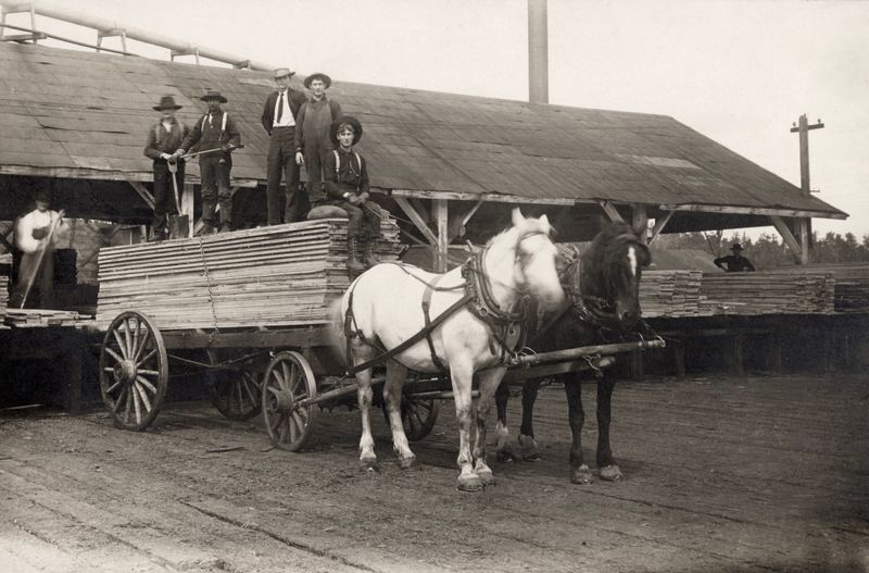 380) Fritz worked at the Cloquet lumber mill
