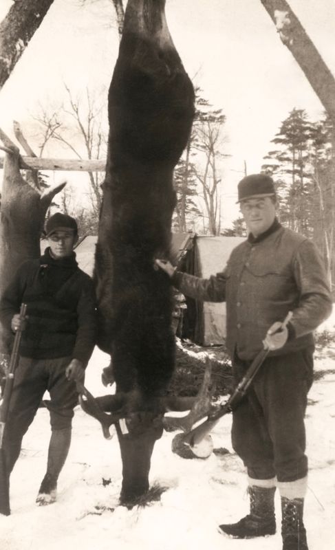 385) Moose kill