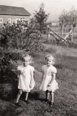 g13/96/8049696/3/175135483.2e7f0975.JPEG