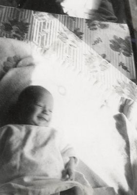 g13/96/8049696/3/175135568.002be1e3.JPEG