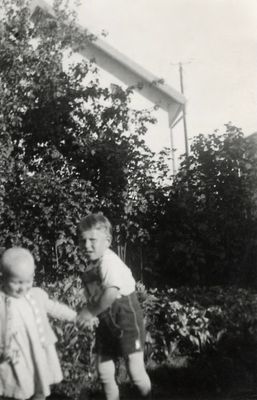 g13/96/8049696/3/175377400.d4ba2040.JPEG