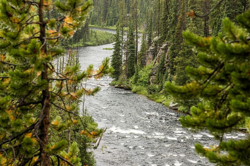 17 A Wet Summer Day in Yellowstone