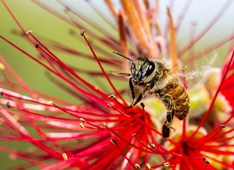 Heres Looking at You