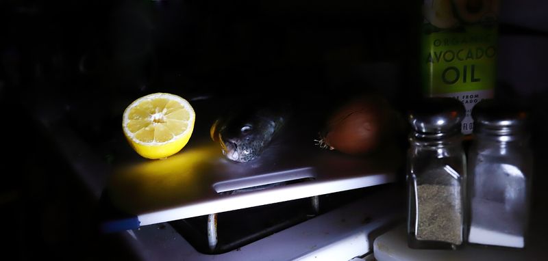08 14 Inch, 2 Pound Brown Trout, About to give His All in a Different Kitchen (3rd Version)