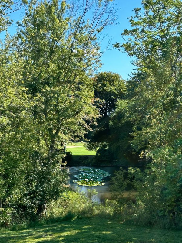 Nature is good-v2