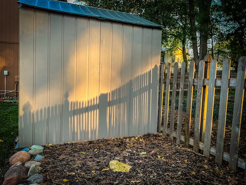 02 Morning Light