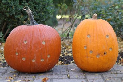 Pair of Pumpkins Primed with Peanut Butter