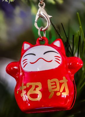 02 Lucky Cat