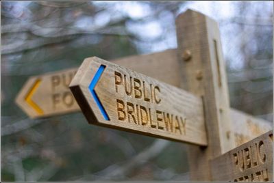 08 Signpost