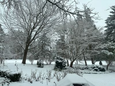Backyard Snow -- Straight out of Phone