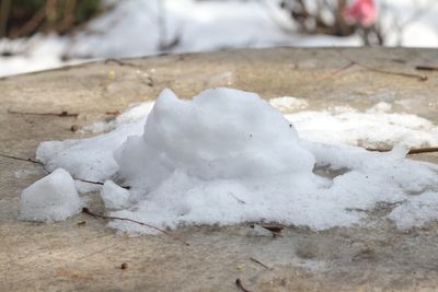 Remains of Snowman