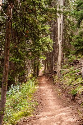 Mountain Trail