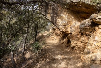 05 Nature Trail in the Interior Chaparral
