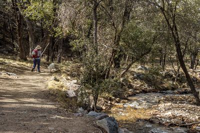 06 Nature Trail through Riparian area