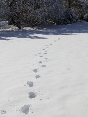 g13/96/935496/3/173445849.18b63e67.JPEG