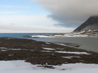 Summer in the High Arctic