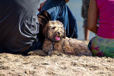 Relaxing on the Beach