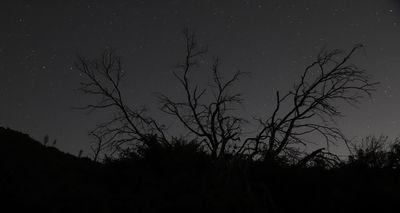 03 Desert Stars