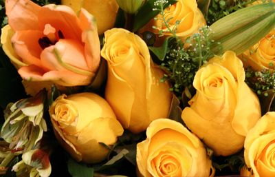 07 Always Thankful for Flowers