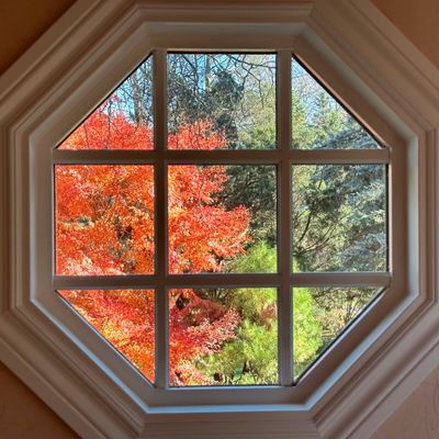 Window-Framed Trees