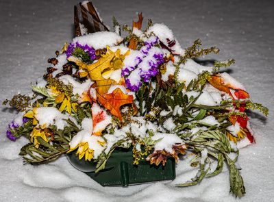 Snow on the Centerpiece