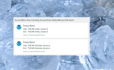 Freeze Watch