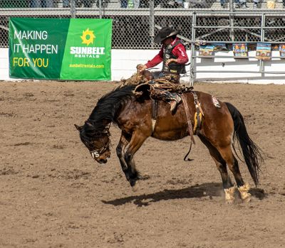 Seeking the Saddle Bronk Riding Title