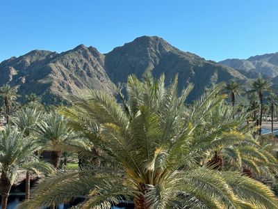 16 Green in the the Desert