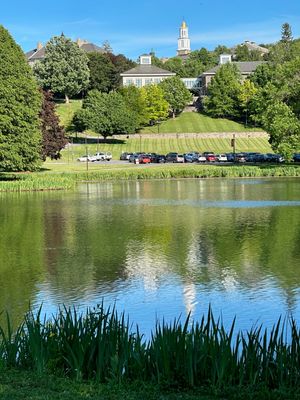 Springtime Campus