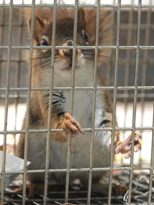 Hot about being detained unjustly