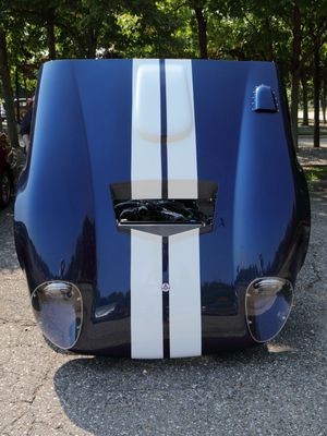 Cobra Daytona Coupe Hood