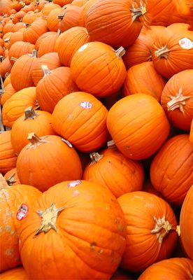 October Abundance