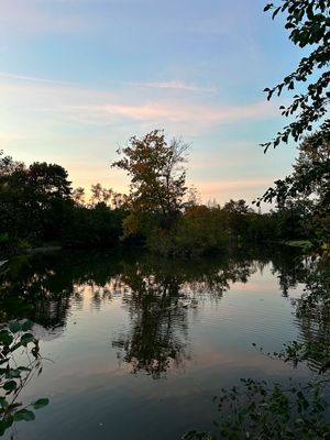 Placid Lake