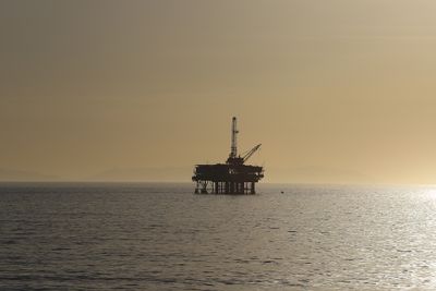 Oil