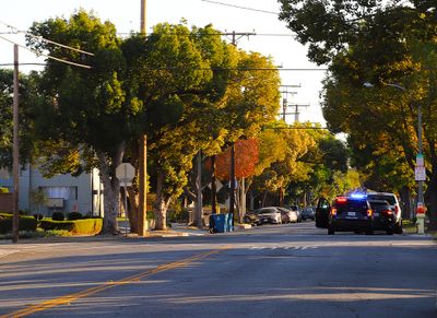 04 A Beautiful Autumn Tree Lined Street--Afternoon